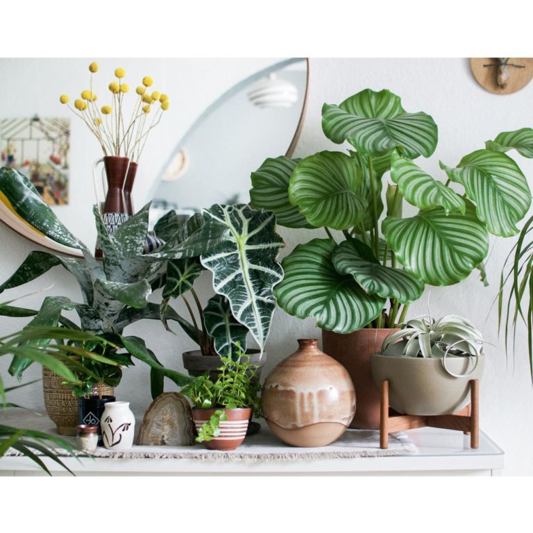 Urban Jungle - Image 8