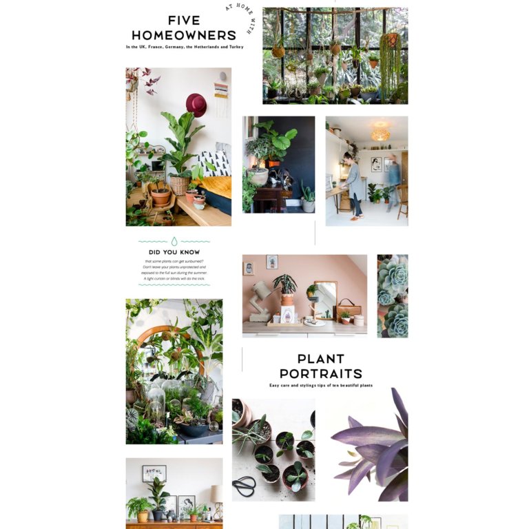 Urban Jungle - Image 7