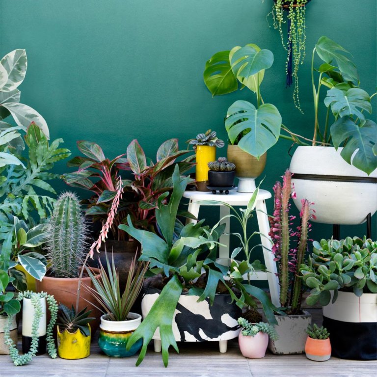 Urban Jungle - Image 2