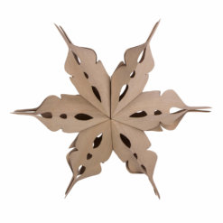 Broste Weihnachtsstern Veneer Natur XL