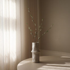 Botané Weide Zweig Willow Weiß