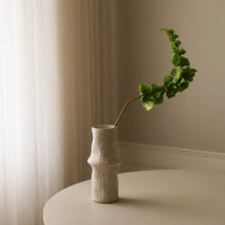 Botané Bells of Ireland Grün