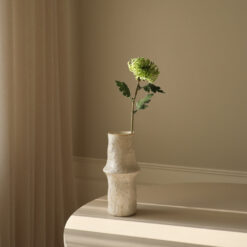 Botané Semi-Cactus Flower Dahlie