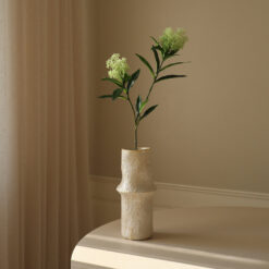 Botané Skimmia Beerenzweig Weiß