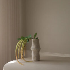 Botané Three Forks Amaranthus Blume