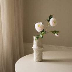 Botané Pfingstrose Peony Flower Rosé