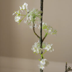 Botané Snow Willow Zweig Weiß