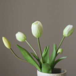 Botané Tulpen-Bouquet Weiß