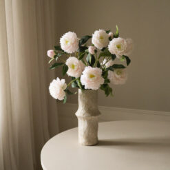 Botané Pfingstrose Peony Flower Rosé