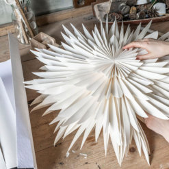 Watt&Veke Adventsstern Oslo