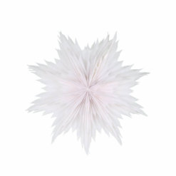 Watt & Veke Stern Oslo L