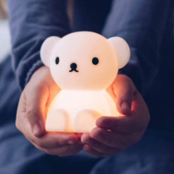 Mr Maria Nachtlicht Bär Boris