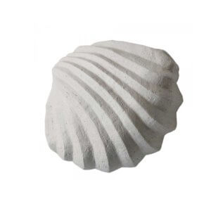 Cooee Skulptur Muschel Limestone