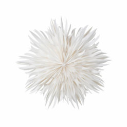 Watt & Veke Stern Eldig L