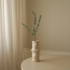 Botané Eukalyptus Zweig Grün