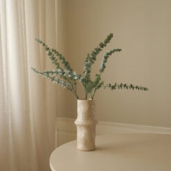 Botané Eukalyptus Zweig Grün